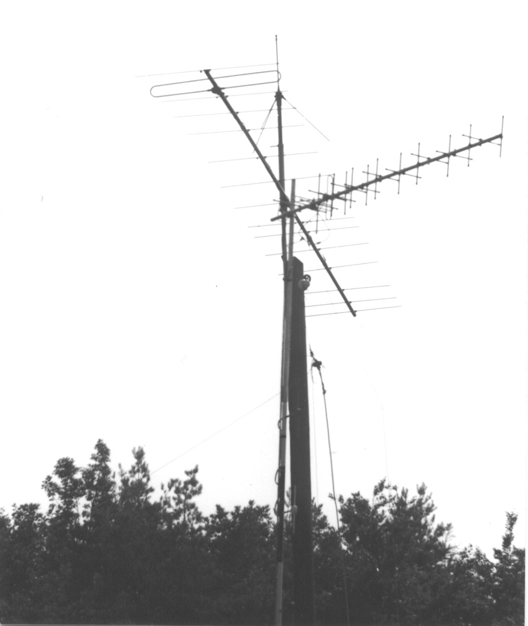 1979 1