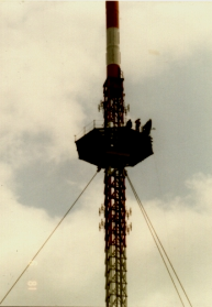 1981 4